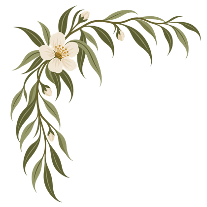 The Willow Branch logo